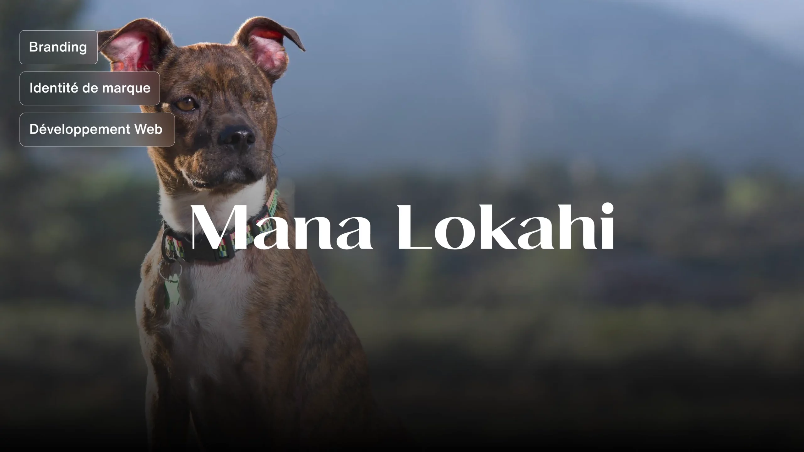 Mana Lokahi - Cas client