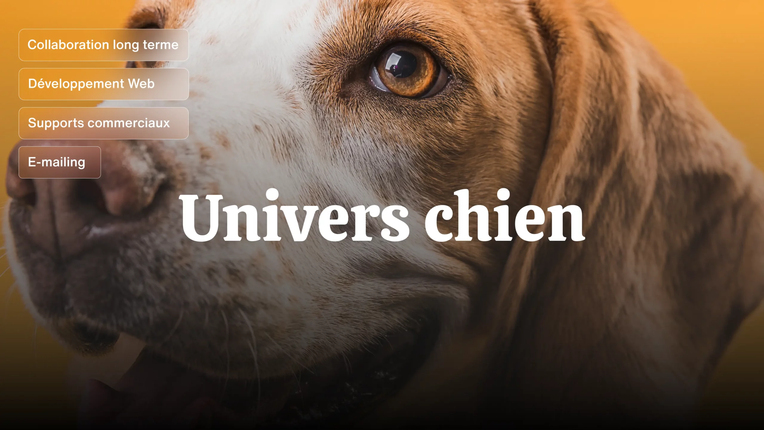 Univers Chien - Cas client