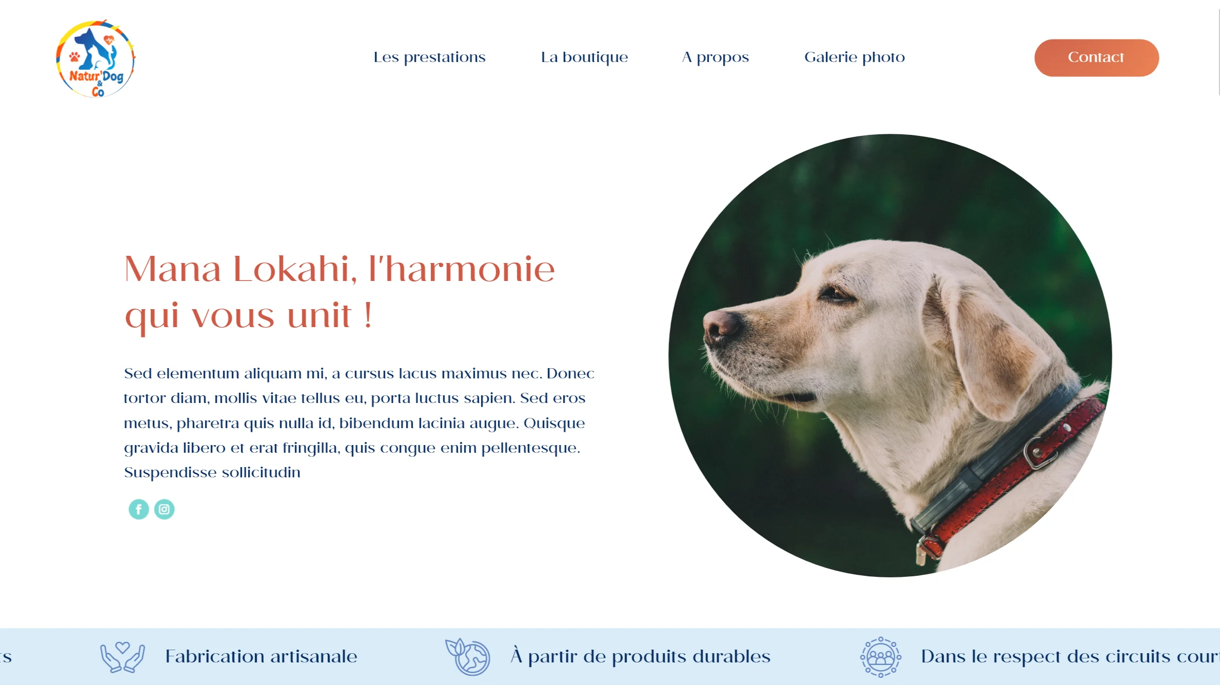 Screenshot site web Mana Lokahi