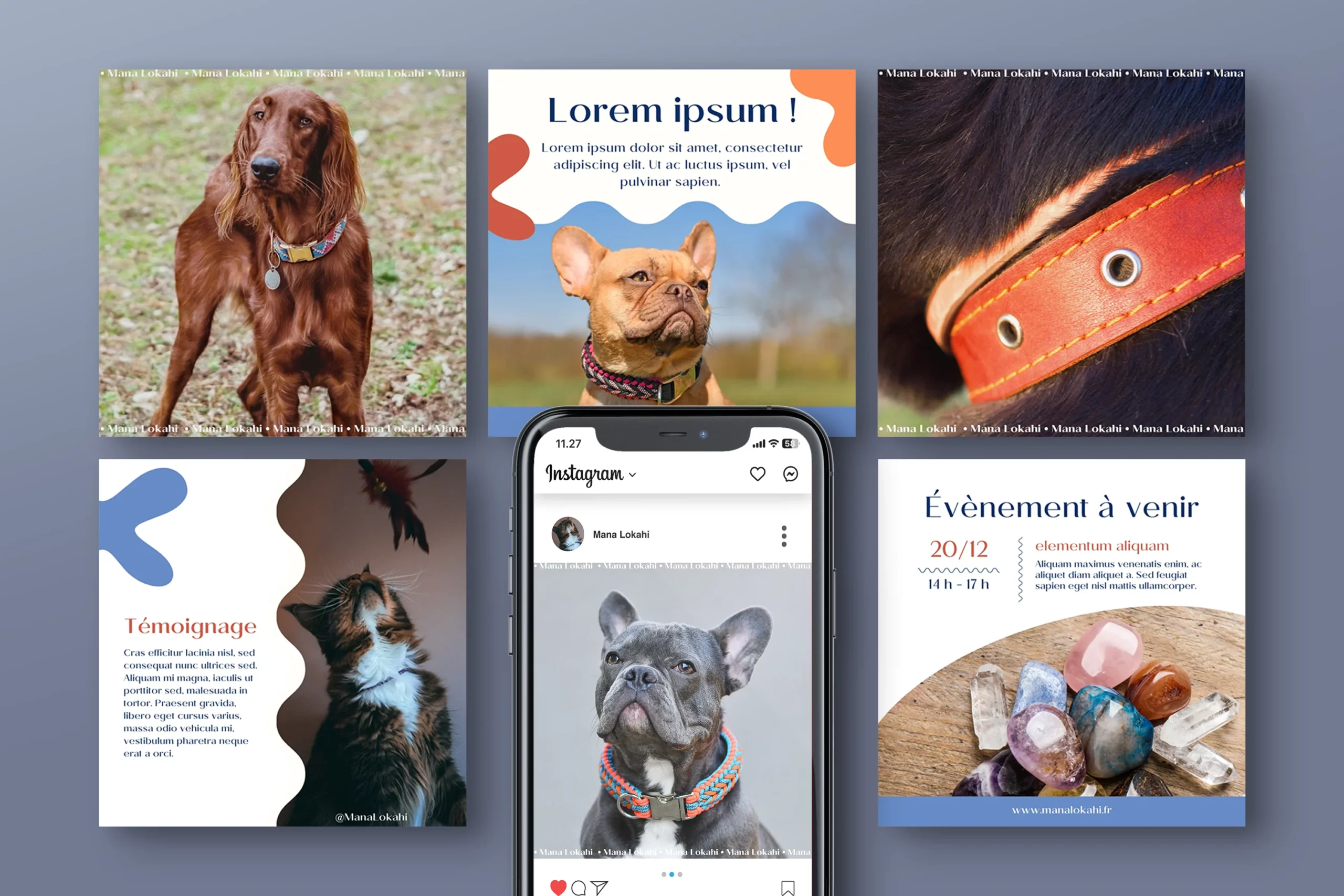 Templates réseaux sociaux