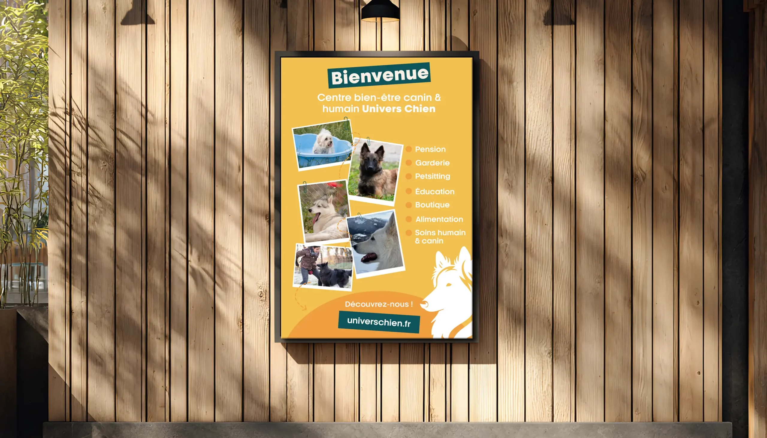 Bache devanture Univers Chien