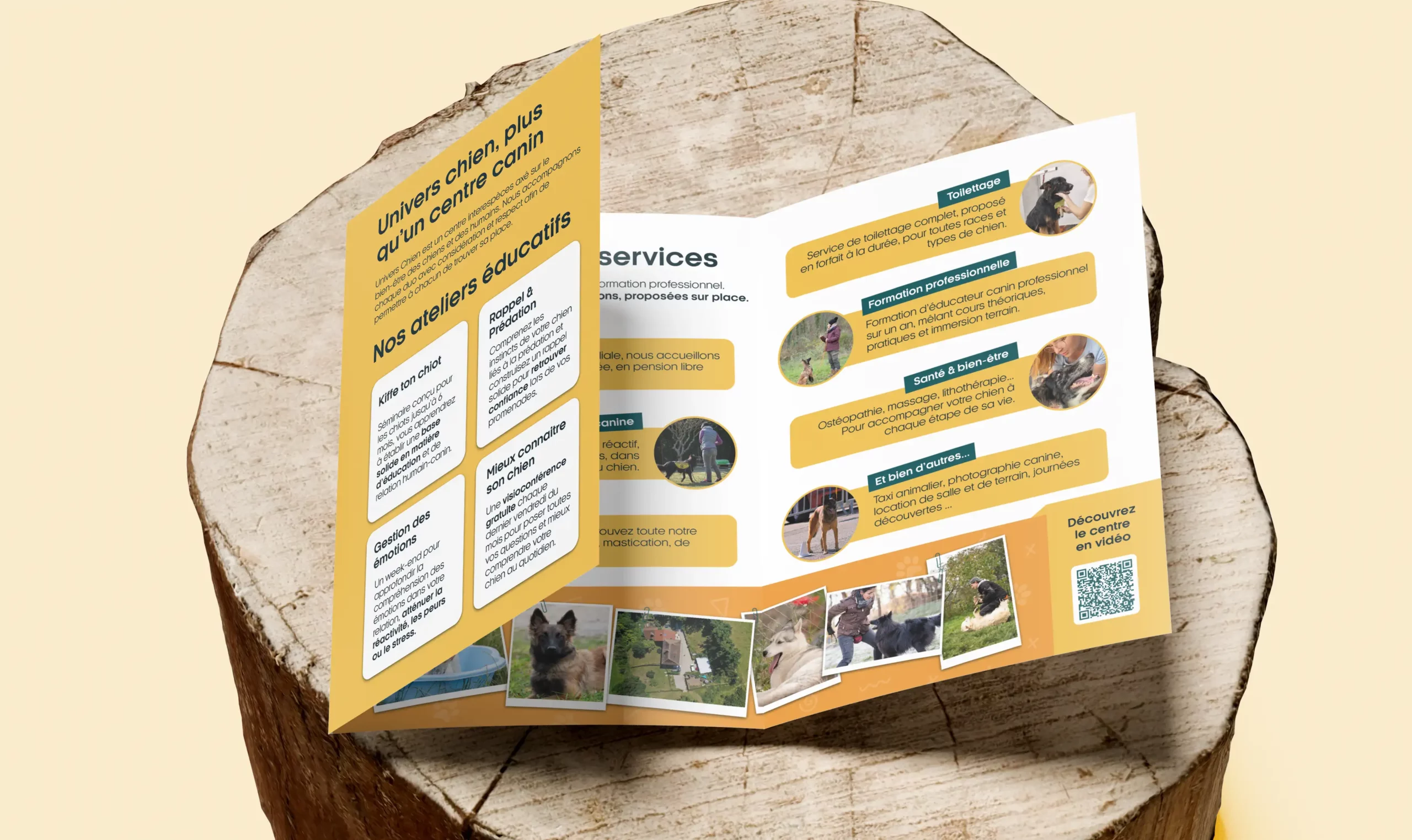 Brochure intérieure triptyque Univers Chien
