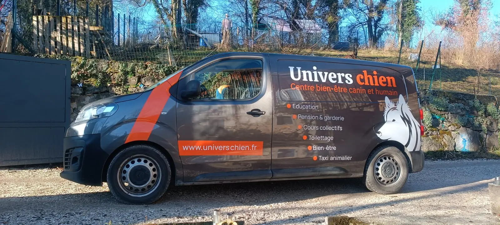 Flocage final Univers Chien