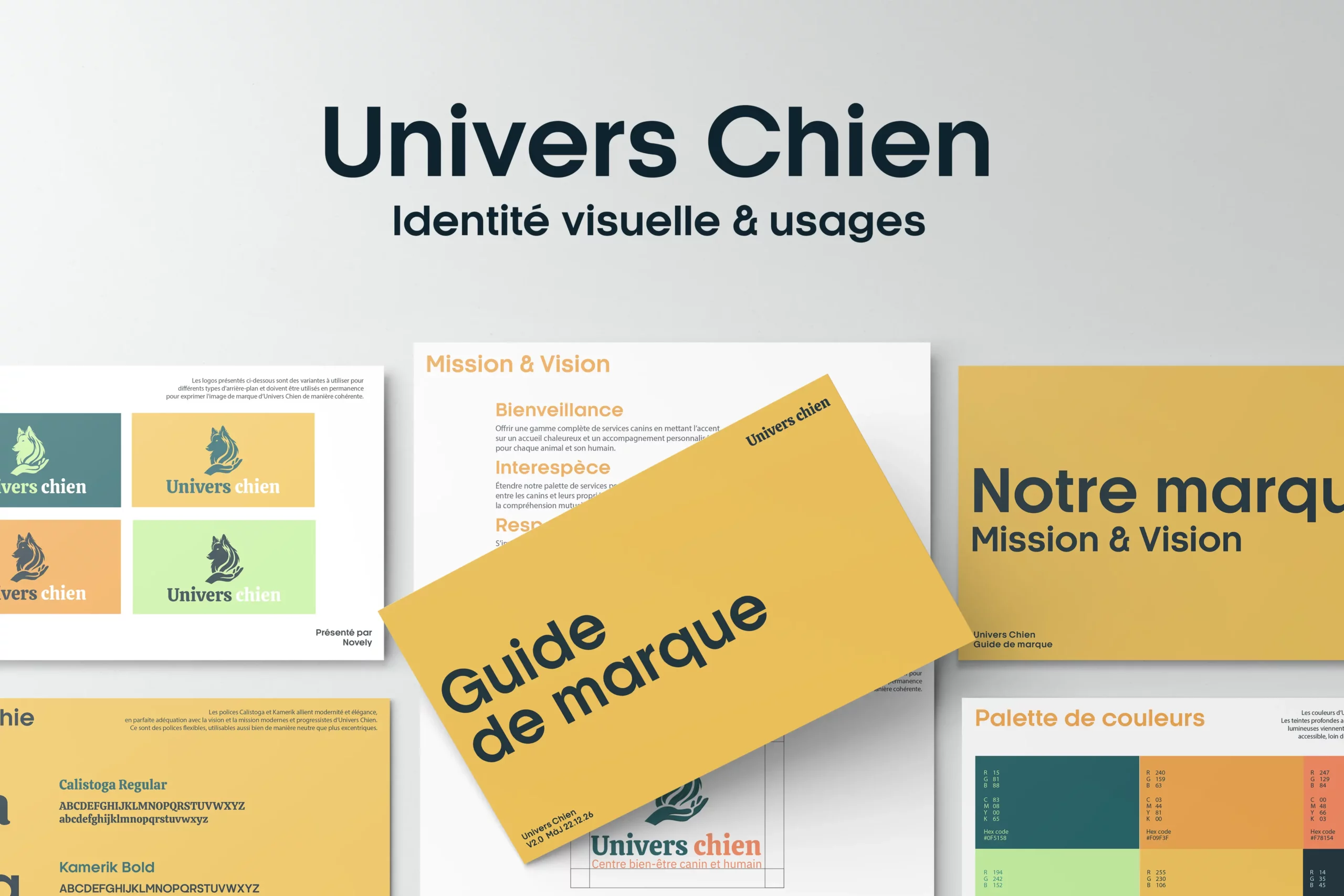 identité graphique d'Univers Chien